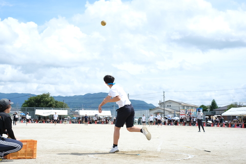 DSCF3582