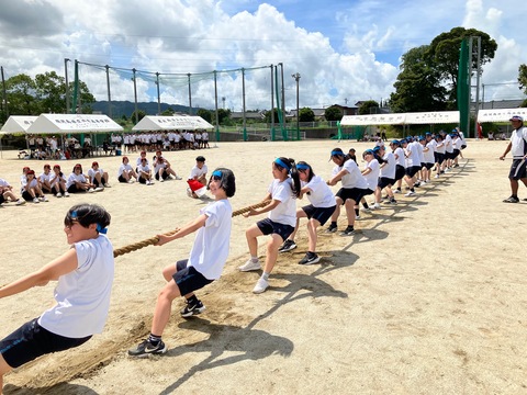 image2 (4)