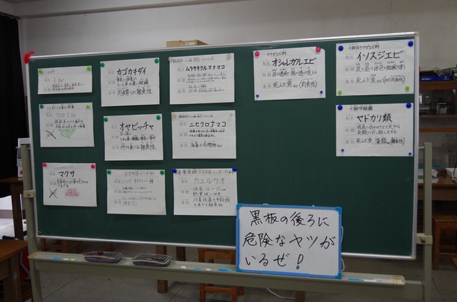 IMGP7857